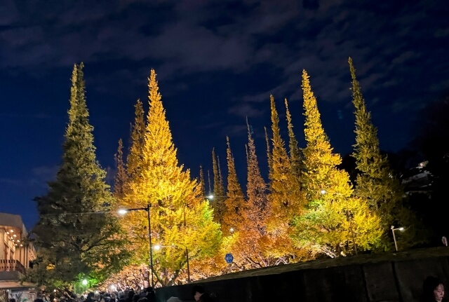 Tokyo coffee culture